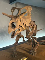 福井県立恐竜博物館に投稿された画像（2026/8/11）