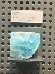 福井県立恐竜博物館に投稿された画像（2026/8/11）