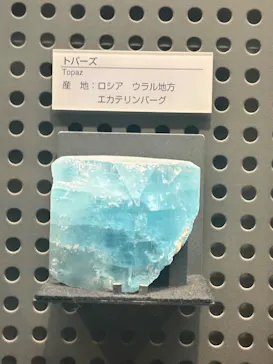 福井県立恐竜博物館に投稿された画像（2026/8/11）