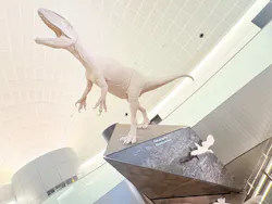福井県立恐竜博物館に投稿された画像（2026/8/11）