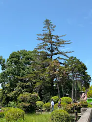 名古屋市東山動植物園に投稿された画像（2026/8/11）