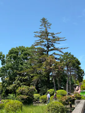 名古屋市東山動植物園に投稿された画像（2026/8/11）