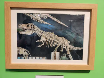プレバト才能アリ展（大阪会場）に投稿された画像（2026/8/11）