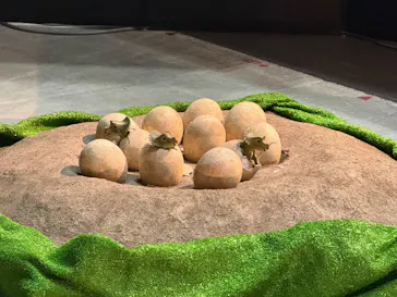 ヨコハマ恐竜展２０２６～恐竜の食卓大図鑑～に投稿された画像（2026/8/11）