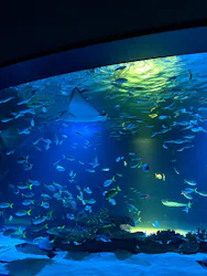 サンシャイン水族館に投稿された画像（2026/8/11）