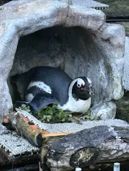 サンシャイン水族館に投稿された画像（2026/8/11）
