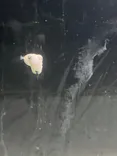 のとじま水族館に投稿された画像（2026/8/11）