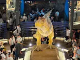 福井県立恐竜博物館に投稿された画像（2026/8/11）