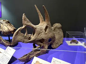特別展　大絶滅展に投稿された画像（2026/8/11）