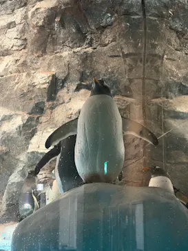 名古屋港水族館に投稿された画像（2026/8/11）