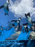 サンシャイン水族館に投稿された画像（2026/8/11）