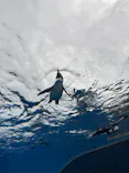 サンシャイン水族館に投稿された画像（2026/8/11）