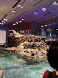 すみだ水族館に投稿された画像（2026/8/11）