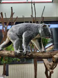 こども動物自然公園（埼玉県公園緑地協会）に投稿された画像（2026/8/11）