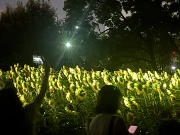 チームラボ ボタニカルガーデン 大阪に投稿された画像（2026/8/11）