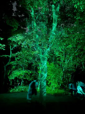 チームラボ ボタニカルガーデン 大阪に投稿された画像（2026/8/11）