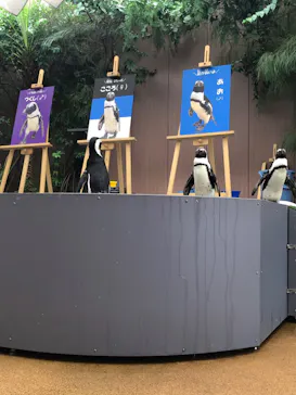 マクセル アクアパーク品川に投稿された画像（2026/8/11）