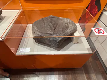 特別展　大絶滅展に投稿された画像（2026/8/11）