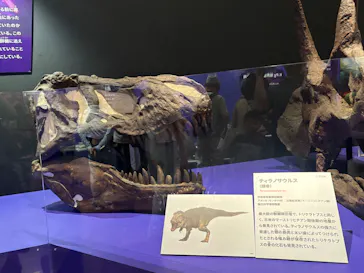 特別展　大絶滅展に投稿された画像（2026/8/11）