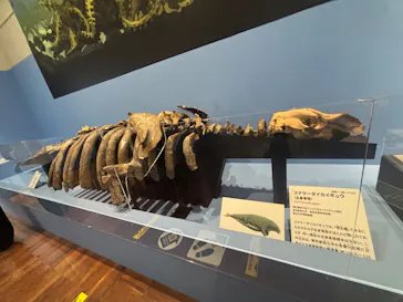 特別展　大絶滅展に投稿された画像（2026/8/11）