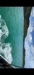 isola blue（イゾラブルー）に投稿された画像（2026/8/11）