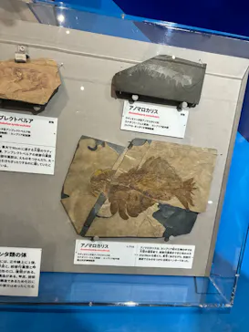 特別展　大絶滅展に投稿された画像（2026/8/11）