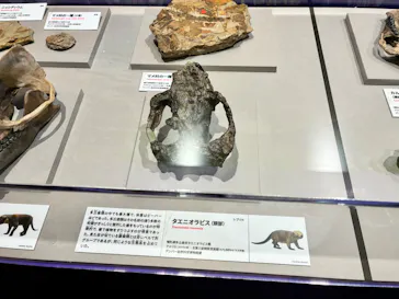 特別展　大絶滅展に投稿された画像（2026/8/11）