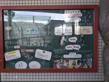 しながわ水族館に投稿された画像（2026/8/11）