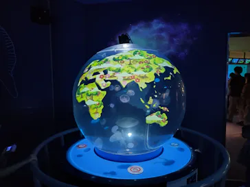 しながわ水族館に投稿された画像（2026/8/11）