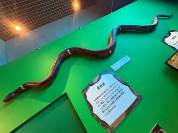 特別展「いきもの超ワールド展　国立科学博物館×ダーウィンが来た！」（国立科学博物館）に投稿された画像（2026/8/11）