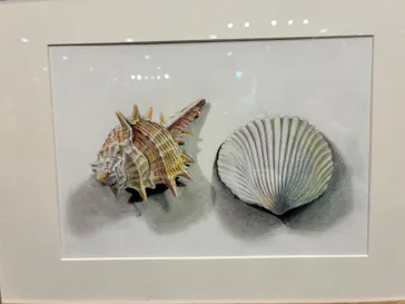 プレバト才能アリ展（大阪会場）に投稿された画像（2026/8/11）