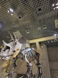 国立科学博物館に投稿された画像（2026/8/11）