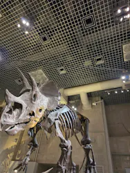 国立科学博物館に投稿された画像（2026/8/11）