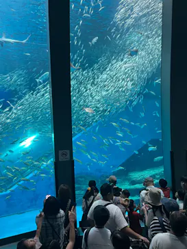 横浜・八景島シーパラダイスに投稿された画像（2026/8/11）
