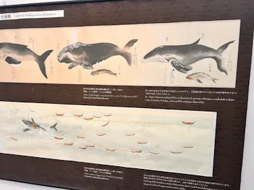 環境水族館アクアマリンふくしまに投稿された画像（2026/8/11）