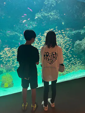 環境水族館アクアマリンふくしまに投稿された画像（2026/8/11）
