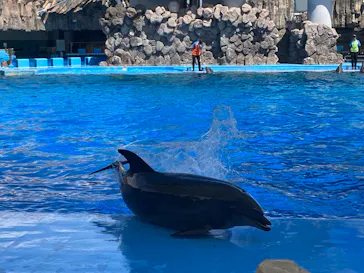 名古屋港水族館に投稿された画像（2026/8/11）