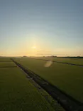 PUKAPUKA（プカプカ）に投稿された画像（2026/8/11）