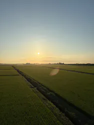 PUKAPUKA（プカプカ）に投稿された画像（2026/8/11）