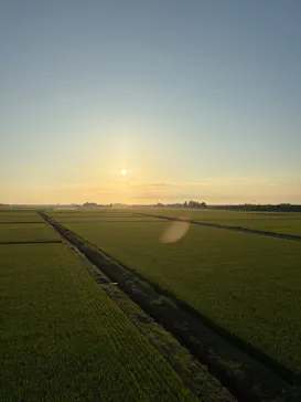 PUKAPUKA（プカプカ）に投稿された画像（2026/8/11）