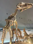 福井県立恐竜博物館に投稿された画像（2026/8/11）