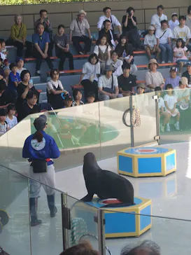 みやじマリン宮島水族館に投稿された画像（2026/8/11）