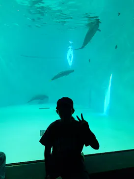 みやじマリン宮島水族館に投稿された画像（2026/8/11）