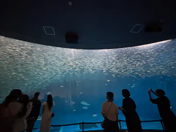名古屋港水族館に投稿された画像（2026/8/11）
