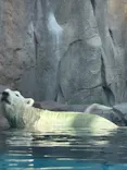 天王寺動物園に投稿された画像（2026/8/11）
