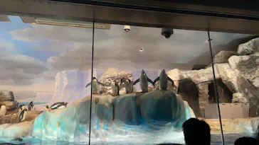 名古屋港水族館に投稿された画像（2026/8/11）