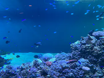 葛西臨海水族園に投稿された画像（2026/8/11）