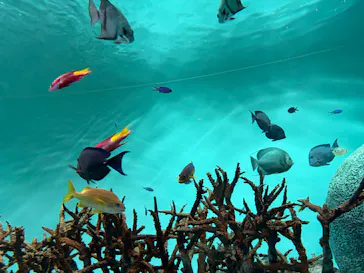 葛西臨海水族園に投稿された画像（2026/8/11）