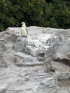 葛西臨海水族園に投稿された画像（2026/8/11）