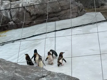 葛西臨海水族園に投稿された画像（2026/8/11）